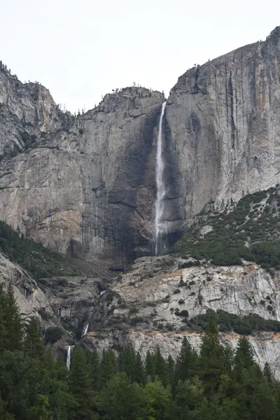 DSC_4660 (Large).JPG